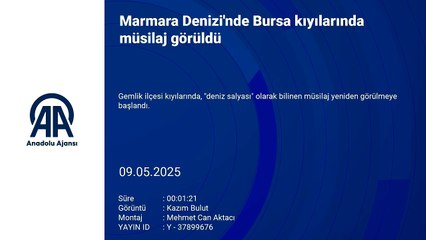 Kâbus Bursa kıyılarında!