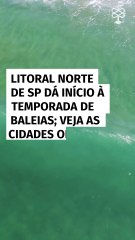 Litoral norte de São Paulo dá início à temporada de baleias