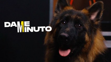 'Hudson & Rex' - Dame un minuto