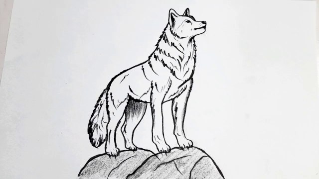 How to Draw a Realistic Wolf _ Easy Step-by-Step Wolf Drawing Tutorial
