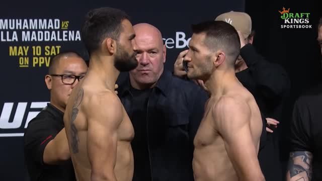 UFC 315 - L'ultime face-à-face entre Saint Denis et Prepolec