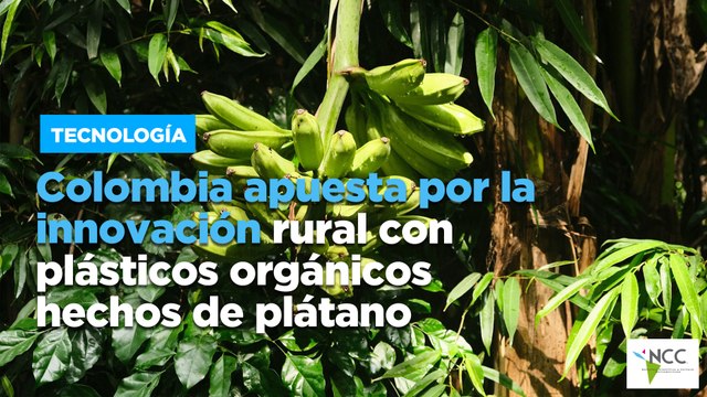 Colombia apuesta por la innovación rural con plásticos orgánicos hechos de plátano