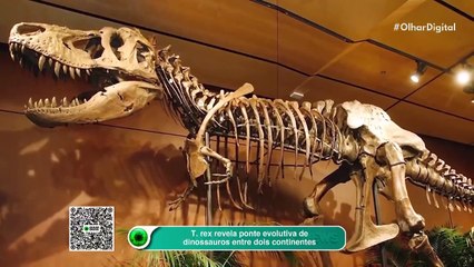 T. rex revela ponte evolutiva de dinossauros entre dois continentes