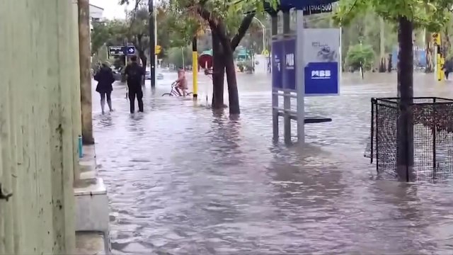 내 일 같아서 ...수해 현장에 도움의 손길 내민 아르헨티나 동포 사회 / YTN