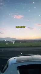 Celui qui veut du miel doit avoir le courage d'affronter les abeilles #BR3 #ChangementPositif #DéveloppementPersonnel #ConfianceEnSoi #motivation