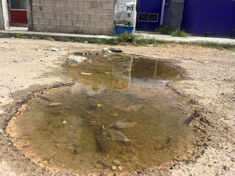 Fuga de agua en Caucel afecta a vecinos de la zona