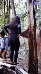 236. What did she want to do_ 🌳 #shorts #tree #fail #funny