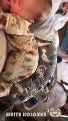 Babies Most Funny Moments _ Try Not To Laugh ! _  funny baby videos