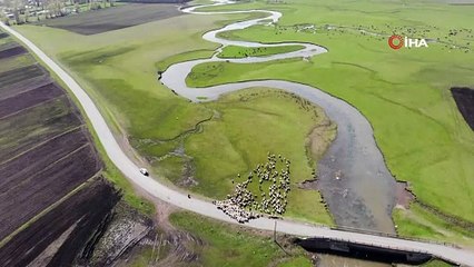 Kars’tan güzel görüntüler! Meralarda hayvan sesleri yükseliyor