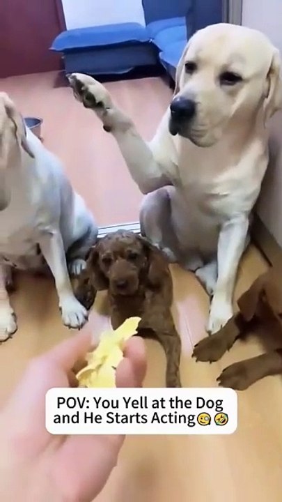 You have a good time discovering funny news