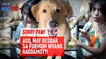SORRY PAW!   Aso, may resbak sa furmom niyang nagdamot?! | GMA Integrated Newsfeed