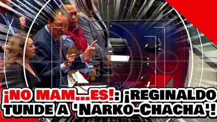 ¡NO MAM…ES CULER…A! ¡REGINALDO RIDÍCULIZA a OTRA “SIRVIENTA PANARKA” por ATACAR a la PRESIDENTA!