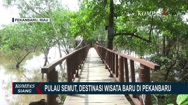 Wisata Pulau Semut, Destinasi Baru yang Asri dan Ramah Kantong di Pekanbaru