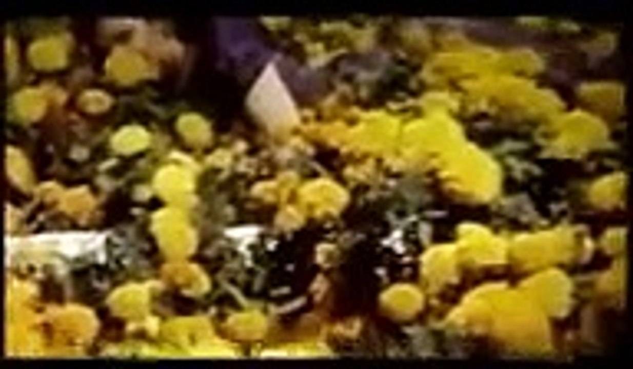 Jeeva___Choo_Lay_Agar_Tujh_Ko_Hawa___Resham_Babar_Ali(144p)_250509184623