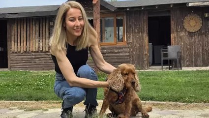 3 aydır kayıp köpeği Çilek’i ağaca bağlı halde buldu