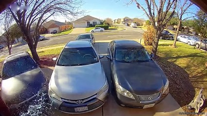 95 Incredible Moments Caught on CCTV Camera