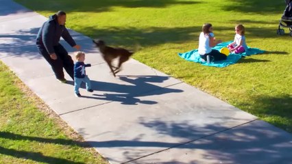 Incredible Moments Caught on Camera