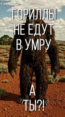 Гориллы не делают Умру. А ТЫ! Они сильные, но не молятся.