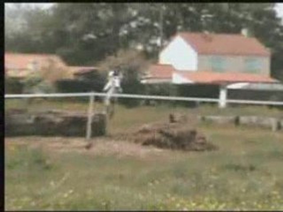 04.05.08 cross clp1