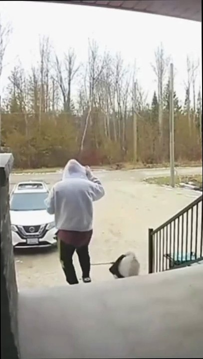 "You Won't Believe What Happens When This Dog Sees FREEDOM 🐶😂"