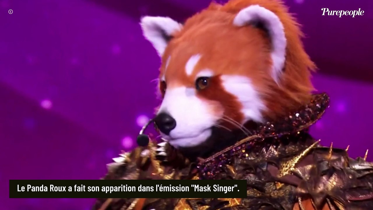 Mask Singer 2025 : Les premiers indices sur le Panda Roux et les premières pistes...
