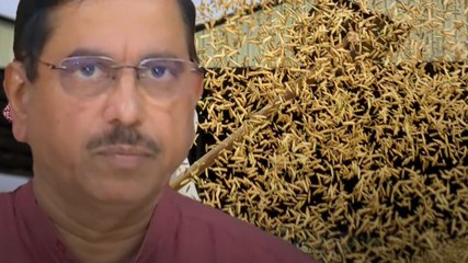 ''India में खाने-पीने की चीज़ों की कोई कमी नहीं...''