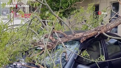 Rüzgarda kırılan ağaç dalı otomobillerin üzerine düştü