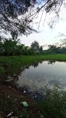 The most beautiful view at lake