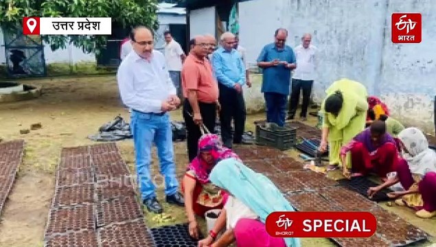 किसान भाइयों ऐसे लगाइए गन्ने की फसल, होगी बंपर कमाई; मेरठ में महिलाओं ने तैयार की नर्सरी, सस्ते में दे रहीं पौधे