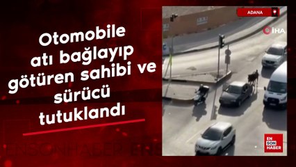 Adana'da otomobile atı bağlayıp götüren sahibi ve sürücü tutuklandı