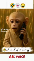 Cha cha modi gal sun k 🤣🤣🤣🤣