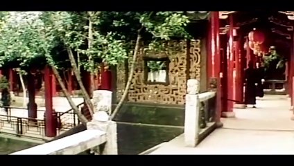 Seven Steps of Kung Fu (79)