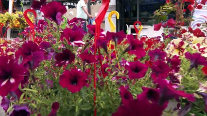 5η Ανθοκομική Έκθεση Σπερχειάδας: Ένας πολύχρωμος κήπος η κεντρική πλατεία