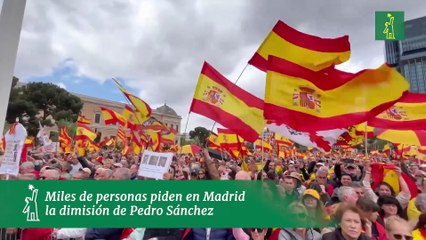 Miles de personas piden en Madrid la dimisión de Pedro Sánchez