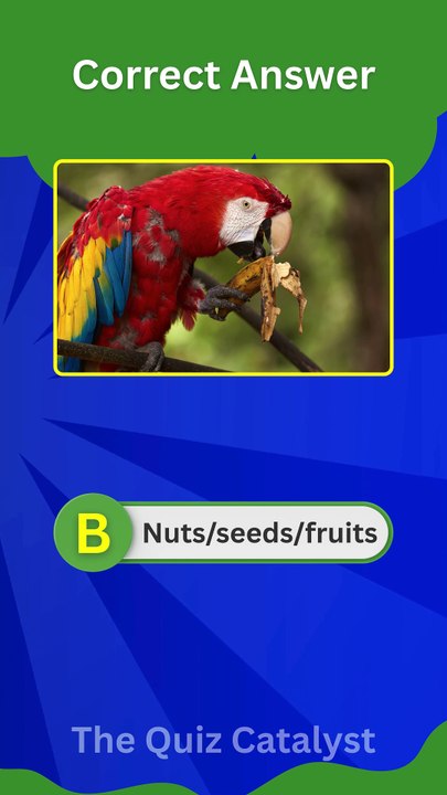 Macaw Quiz: Can You Score 4/4? 🦜💡 | Parrot Trivia Challenge for Bird Lovers!