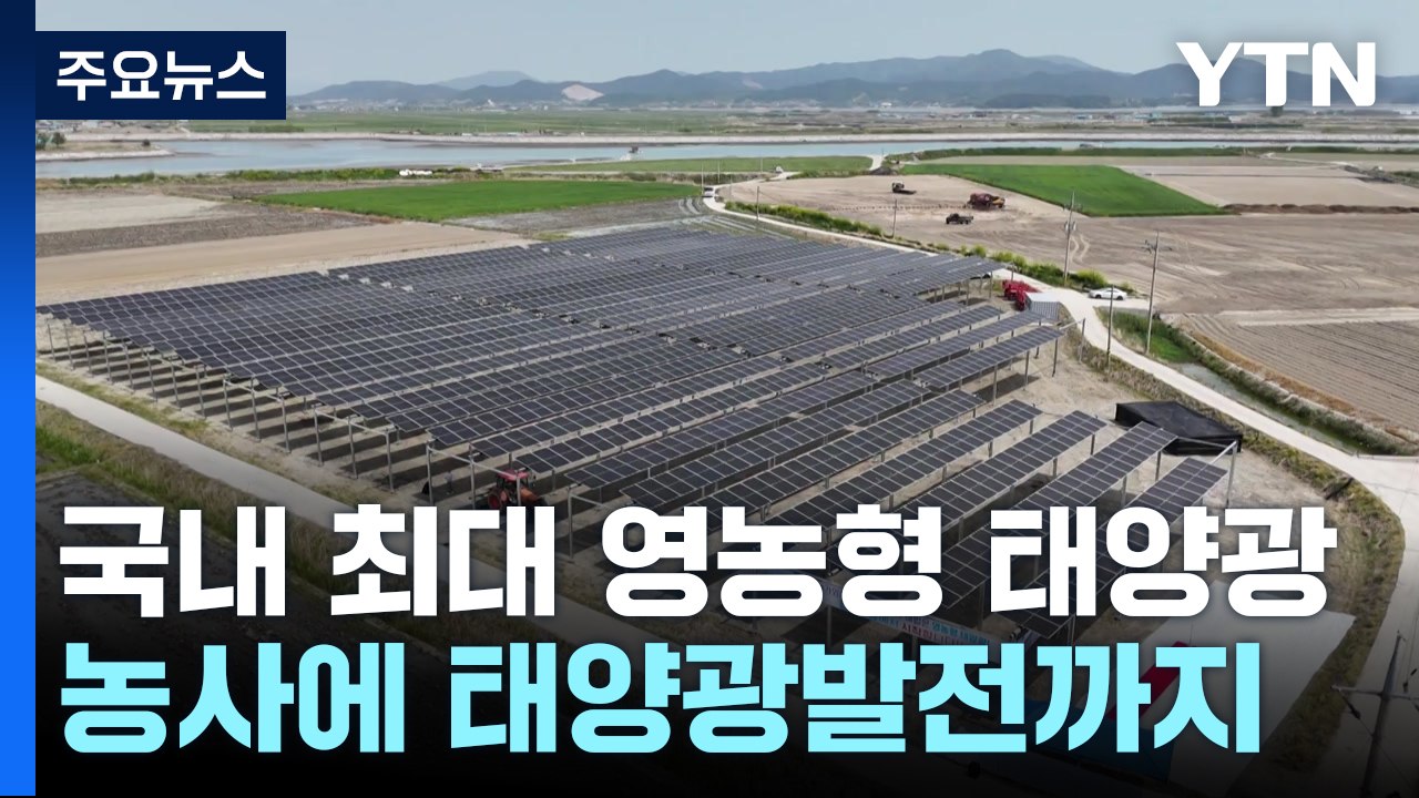 농사에 태양광발전까지...국내 최대 영농형 태양광 준공 / YTN