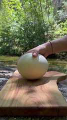 Satisfying cooking of Ostrich Egg 🥚