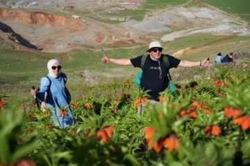 "Lale devri” başladı: “Muş 1071” doğayı süslüyor