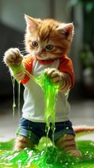 Ai animated Cat funny video. Viral Cats - Ep 124