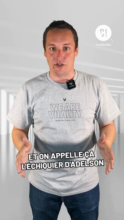 Cette illusion rend fou depuis 1995 !