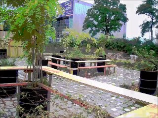 Pots, bacs et jardinières (montage artistique)