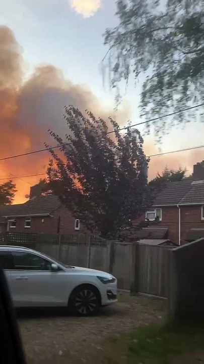 Fire at Bransgore 10th May 2025 – (video by Emily Powell)