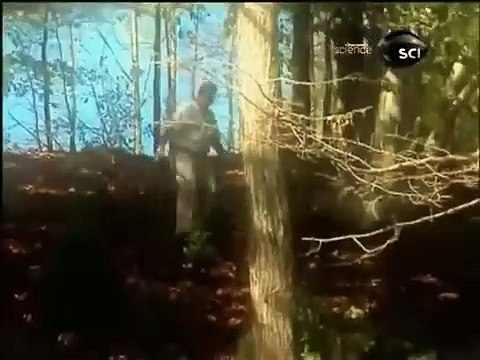 MASSACRE - PISTAS ESCARSAS - ID INVESTIGAÇÃO DISCOVERY