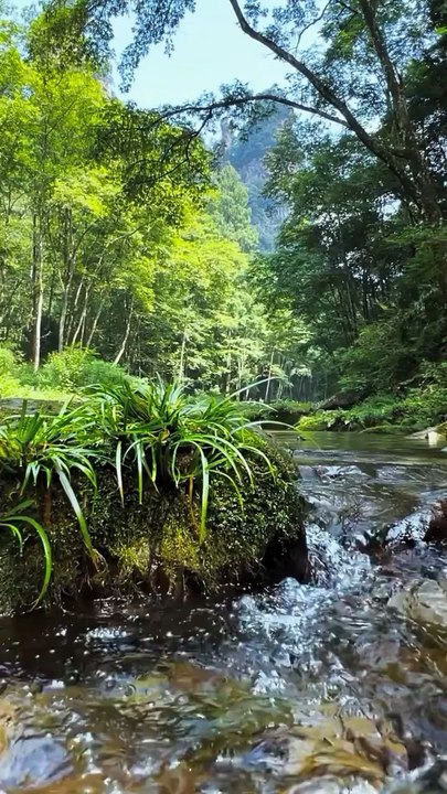 Beautiful Nature 😻 Love 😚