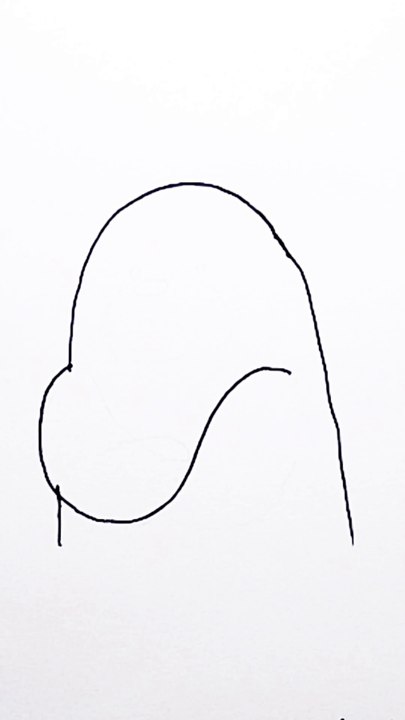 Bear drawing