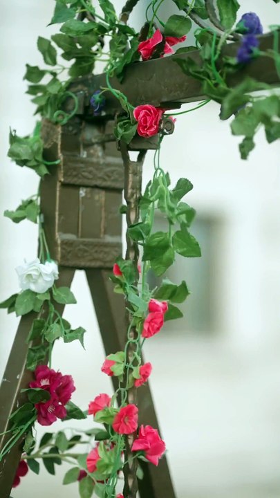 The CEO Picked the Poorest Girl in the Slums as a Stand-In Lover But He Unexpectedly Fell for Her!