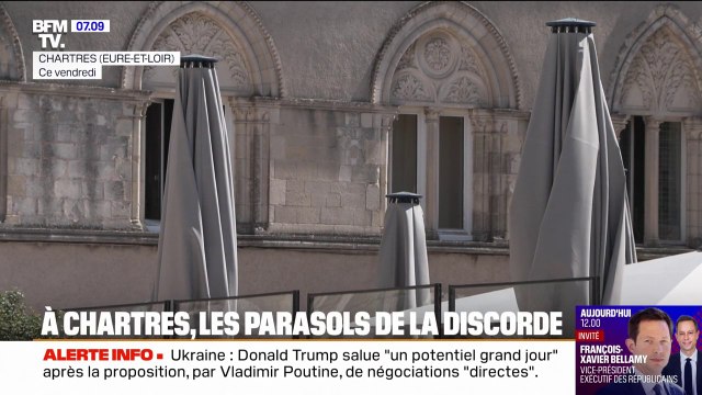 Chartres: des arbres arrachés pour y mettre des parasols