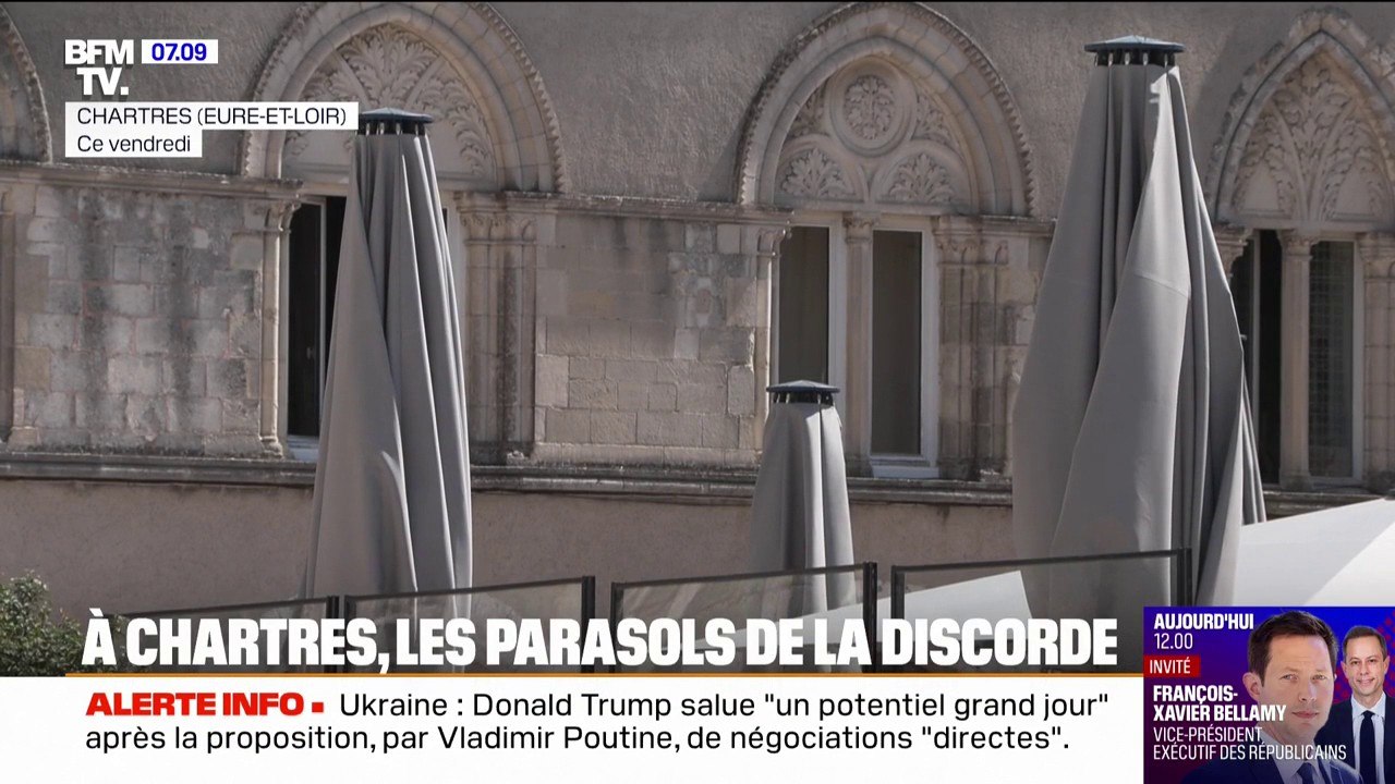 Chartres: des arbres arrachés pour y mettre des parasols