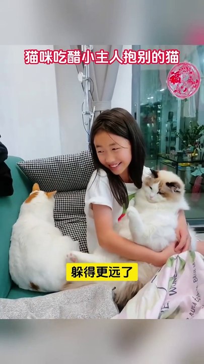 funny pets511