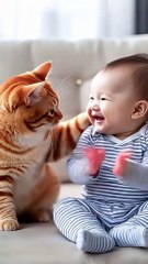 Meow Mood: Funny Cats Being Cute & Crazy! – Ep 106